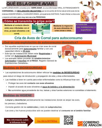 Imagen ¿Qué es la gripe aviar?