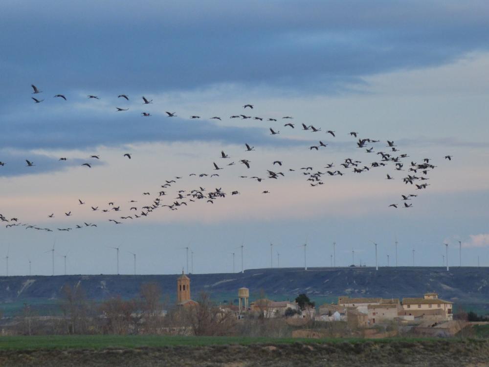 Imagen APERTURA DEL CENTRO DE INTERPRETACION ALBERCA DE ALBORÉ DE MONTMESA PERIODO DE NOVIEMBRE-DICIEMBRE 2.025.